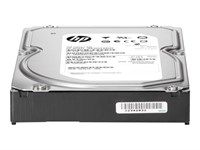 HP 1TB 6G SATA 7.2K rpm LFF (3.5-inch) Non-hot plug Midline 